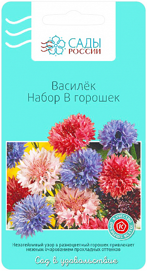 Семена Василёк Набор в горошек.
Незатейливый узор в разноцветный горошек привлекает нежным очарованием прохладных оттенков «северного» колорита сине-фиолетово-розовых и белых махровых соцветий. Растения сильноветвящиеся компактные, соцветия диаметром 2,5—4 см.