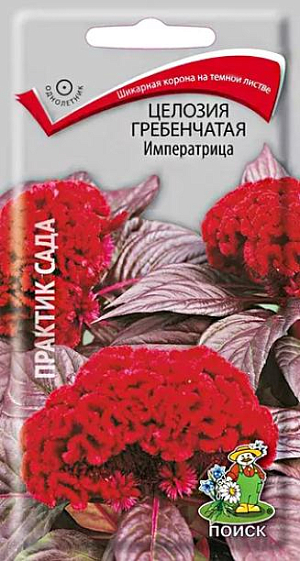 Семена Целозия Императрица гребенчатая.
Крупные привлекательные короны. Растение с толстым прямостоячим стеблем, 50 см высотой. Соцветия в виде плотного гребня пурпурно-красной окраски, листва тёмная. Цветёт с начала июля до первых заморозков. Используют для миксбордеров, балконных ящиков, аранжировки зимних букетов.
Агротехника. Растение предпочитает солнечные, защищенные от ветра места с плодородной почвой. 
Размножают посевом семян в конце марта – начале апреля в ящики. Глубина заделки семян 0,3 см. При температуре почвы +18-20°С всходы появляются на 7-14 день. Всходы пикируют дважды, осторожно и умеренно поливают, регулярно проветривают. В открытый грунт рассаду высаживают после окончания весенних заморозков, выдерживая расстояние между растениями 20-25 см.
Семена соответствуют требованиям международных стандартов и ГОСТу РФ 12206-81.
