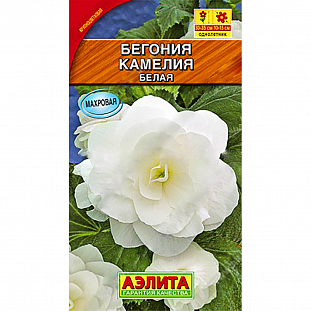 Семена Бегония Камелия белая