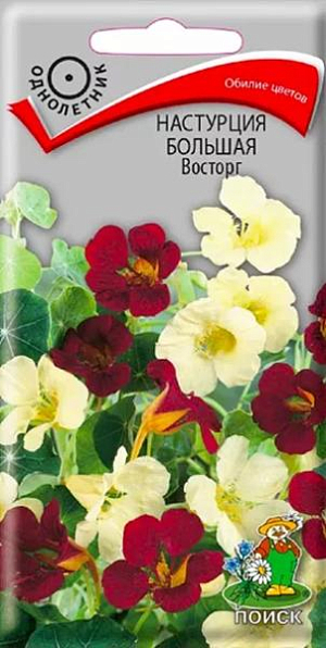 Семена&nbsp;Настурция Большая Восторг.&nbsp;Обилие цветов.&nbsp;Полу стелющиеся побеги длиной до 1,5 м. Смесь белых и красных&nbsp; цветов. Шпорцы длинные, чуть изогнутые. Цветет обильно с июля до заморозков. Используют для вертикального озеленения, балконных ящиков.<br>
 <br>
&nbsp;Агротехника. Растение предпочитает солнечные или слегка затененные места, умеренно плодородные и влажные почвы. Семена высевают в мае прямо в открытый грунт, в лунки по три семени. Глубина заделки 2 см. При температуре почвы +20°C всходы появляются на 14-20 день. Расстояние между растениями 20-30 см.&nbsp;