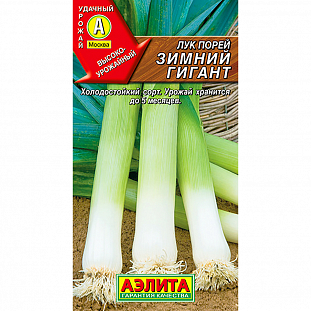Семена Лук порей Зимний Гигант