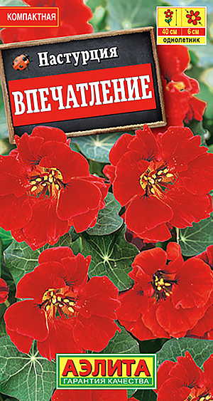 Семена Настурция Впечатление кустовая.
Компактный кустовой сорт, подлинный шедевр среди настурций. Запоминается сильным контрастом очень темной листвы и ослепительно ярких цветков. Формирует растения высотой до 40 см, обильно усыпанные цветками ø 5-7 см. Цветки со шпорцами возвышаются над листвой. Растения достаточно неприхотливые, тепло- и светолюбивые, быстрорастущие. Цветение раннее и продолжительное, с июня до заморозков. Кусты отлично смотрятся на клумбах и рабатках, в садовых контейнерах и балконных ящиках. Агротехника. Посев семян непосредственно в открытый грунт на глубину 2 см. Семена перед посевом желательно замочить. Всходы появляются через 7-10 дней. Настурция хорошо растет и цветет на легких дренированных почвах среднего плодородия. На высокоплодородных или переудобренных почвах наблюдается сильное развитие вегетативной массы в ущерб цветению. Необходимы регулярные поливы, прополки, рыхления.