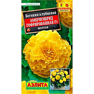 Семена Бегония Америгибрид гофрированная F1 желтая