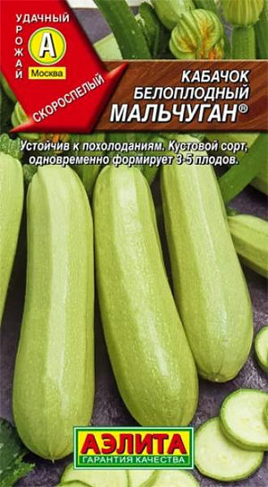Семена Кабачок белоплодный Мальчуган
