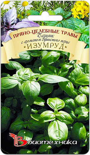 Семена Базилик Изумруд (с ароматом душистого перца)