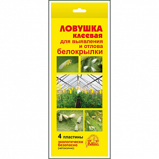 Ловушка клеевая для выявления и отлова белокрылки