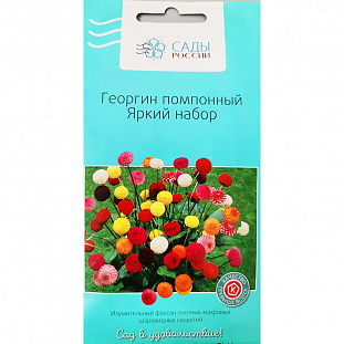 Семена Георгина помпонный Яркий набор
