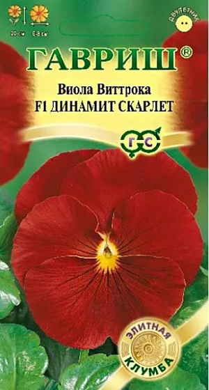 <div>
 Семена Виола Динамит Скарлет F1.
</div>
 <article>
<p>
 Компактный плотный куст высотой 20 см. Цветки красные, крупные, диаметром 6-8 см. Обильно и продолжительно цветет. Влаголюбива, холодостойка, хорошо растет на солнце и в полутени. Используют для посадки на клумбы, в рабатки, балконные ящики и садовые вазы.
</p>
 </article>
