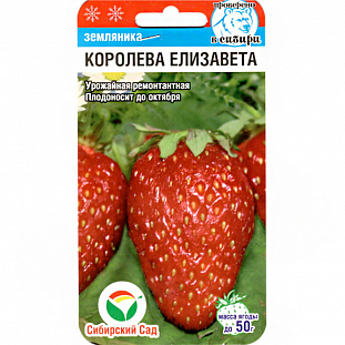 Семена Земляника (клубника) Королева Елизавета крупноплодная