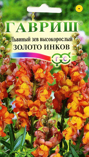 Семена Львиный зев Золото Инков.
Великолепный крупноцветковый срезочный сорт.Декоративное растение из семейства Норичниковые, культивируемое как однолетник, высотой 70-90 см. Цветет с конца июня до поздних заморозков. Цветки собраны в кистевидные соцветия золотисто-оранжевой окраски. Холодостоек, светолюбив, к почвам нетребователен, в засушливый период нуждается в поливе. Выращивают рассадным способом. Посев проводят с начала марта до середины апреля. Всходы появляются через 8-12 дней. Рассаду высаживают во второй половине мая с расстоянием между растениями 35-40 см. Используется для групповых посадок и цветников, а также для получения высококачественной срезки (львиный зев стоит в воде до двух недель).