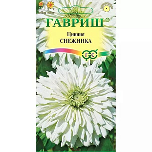 Семена Цинния Снежинка Семена Цинния Снежинка