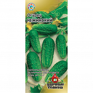 Семена Огурец Нежинский