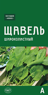 Семена Щавель широколистный Семена Щавель широколистный