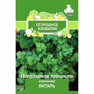 Семена Кориандр Янтарь