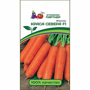 Семена Морковь Краса Севера F1