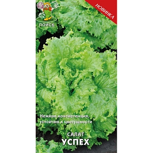 Семена Салат Успех