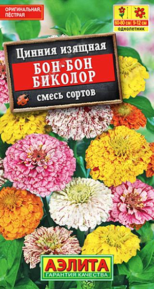 Семена Цинния Бон-бон биколор.&nbsp;Необычная смесь цинний с крупными соцветиями эффектной пестрой расцветки. Основной фон лепестков украшен живописными «брызгами». Кусты крепкие, ветвистые, высотой 60-80 см. Соцветия диаметром 9-12 см, полушаровидные, плотные. Густомахровые корзинки сохраняют декоративность в течение месяца. Смесь рекомендуется для одиночных и групповых посадок на клумбах и рабатках. Отлично подходит для срезки – цветы стоят в воде до двух недель.<br>
 <br>
 Циннии – растения теплолюбивые, быстрорастущие, относительно засухоустойчивые. Предпочитают солнечные участки с дренированными почвами среднего плодородия, нейтральной кислотности. В южных регионах возможен без рассадный способ выращивания.<br>