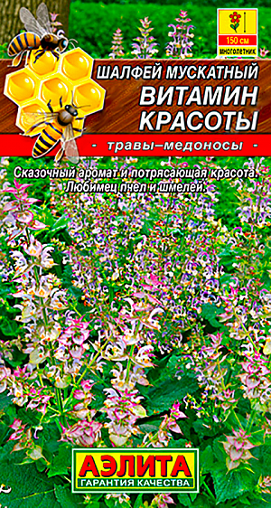 Семена Шалфей мускатный Витамин красоты