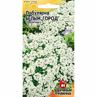 Лобулярия Белый Город Лобулярия Белый Город