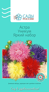 Семена Астра Игольчатая Уникум Яркий набор