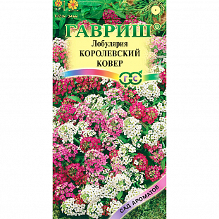 Семена Лобулярия Королевский ковер