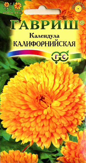 Семена Календула Калифорнийская.
Популярное неприхотливое растение из семейства Астровых. Цветет с июня по сентябрь. 
Цветение обильное и продолжительное, особенно при удалении отцветших соцветий. 
Соцветия крупные, диаметром 8-9 см, густомахровые, черепитчатые. Календула светолюбива и предпочитает легкие почвы, холодостойка - выдерживает до -5°C. Размножают прямым посевом в грунт. Семена высевают весной или под зиму, всходы появляются через 7-10 дней, их через некоторое время прореживают на расстоянии 20 см. 
Зацветает через 50-60 дней после посева. Используется для оформления участка и получения срезки.