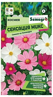 Космея Сенсация микс