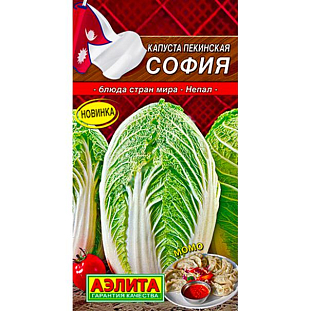 Семена Капуста пекинская София