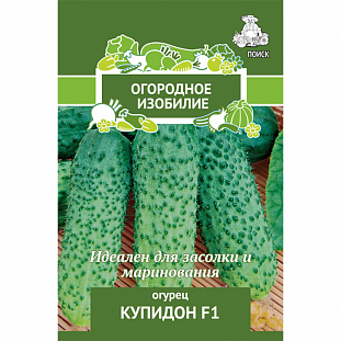 Семена Огурец Купидон F1