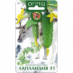 Семена Огурец Лапландия F1