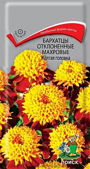 Семена&nbsp;Бархатцы отклоненные махровые Жёлтая головка.&nbsp;Однолетние растения, с крупными желто-красными цветами. Растут в дикой природе в странах Южной Америки. Высота: 20-25 см. Могут использоваться в качестве бордюров, для создания композиционных картин. Длительное цветение, с середины лета до первых морозов, и объясняет повышенный спрос. Они неприхотливы, не нуждаются в дополнительной подкормке, легко переносят моменты засухи. Многие городские парки, скверы и площади массово усеяны ярко-оранжевыми полянами.
