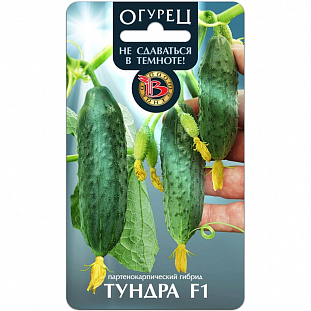 Семена Огурец Тундра F1