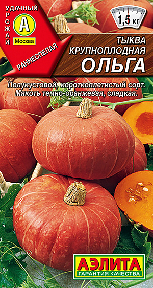 Семена Тыква крупноплодная Ольга