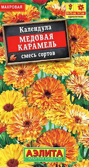 Семена Календула Медовая карамель. Махровая смесь популярного однолетнего растения. Кустики высокие, 50-70 см, сильноветвистые, с большим количеством цветоносов. Цветение раннее, длительное и обильное. Соцветия  диаметром 5-7 см. Главная особенность смеси – обратная сторона лепестков красного цвета. Рекомендуется для оформления цветников, подходит для срезки.<br>
 <br>
  Для более раннего цветения возможен подзимний посев. Растения неприхотливые – устойчивые к вредителям и болезням, холодостойкие, не требовательные к почве. Своевременное удаление увядающих соцветий способствует более длительному и обильному цветению.<br>