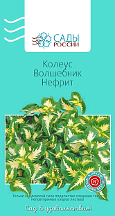 Колеус Волшебник Нефрит 