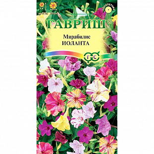 Семена Мирабилис Иоланта