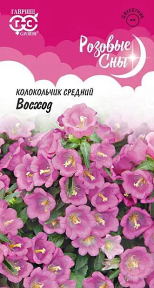 <div>
 Семена Колокольчик Восход.
</div>
 <article>
<p>
 Восхищаясь экзотическими цветами, свое сердце все-таки отдаем скромным и непритязательным «жемчужинам» среднерусской природы, таким как колокольчик.&nbsp; Симпатичное растение с нежными цветками бокальчато-колокольчатой формы, восхитительной карминно-розовой окраски, собраны в крупные эффектные соцветия. Цветение пышное и долгое, с июня по сентябрь. Предпочитает солнечные участки с хорошо обработанными плодородными почвами.&nbsp;
</p>
<p>
 Выращивают прямым посевом в грунт в начале мая или во второй половине октября. Всходы появляются через 8-14 дней при температуре 15 С. Еще через 2-3 недели саженцы пикируют на расстоянии 10-15 см. Зацветают растения на второй год.&nbsp; Используется для оформления участка и для срезки. Хорошо сочетается с хостами, астильбами. В срезке стоит до 12 дней. Схема посадки: 30х30 см.
</p>
 </article>