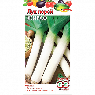Семена Лук Жираф порей