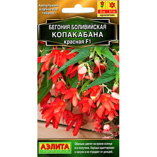 Семена Бегония Копакабана красная F1
