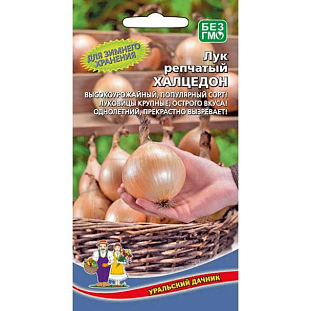 Семена Лук репчатый Халцедон