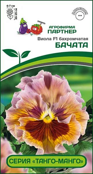 Семена&nbsp;Виола бахромчатая Бачата F1<br>
 <br>
 Усовершенствованную бахромчатую&nbsp;&nbsp;виолу с волшебными цветками заметят все! В нынешнем сезоне заблистала танцевальная серия «Танго-Манго», которая непременно закружит многочисленными воланами рюшистых юбок в самом ритмичном танце – танце цветов. Не коронка, а настоящая гофрированная юбочка-пачка, декору которой позавидует любая модница. При всей своей воздушности, является стойким созданием: растения хорошо переносят ветра и дожди, отличаются холодостойкостью и устойчивостью к болезням. Гибрид не особо стремится разрастаться, а цвести жаждет до глубокой осени, когда прочие уже отдыхают, выставляя напоказ целый букет чудо-цветков. Данная серия была выведена специально для корзин и контейнеров, а также для оформления городских территорий и клумб, где важна устойчивость и предъявляются высочайшие требования к внешнему виду растений. Нарядные ансамбли с участием «анюток» в контейнерном декоре позволят превратить террасу или балкон в настоящий райский уголок. А ароматные цветки на крепких цветоносах прекрасно подойдут для создания миниатюрных букетов и небольших композиций, которые можно дарить, не имея для этого особого повода!<br>