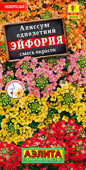 Семена Алиссум Эйфория смесь окрасок.
Неприхотливый низкорослый сорт с сильным медовым ароматом. Прекрасный медонос, привлекает в сад пчелопылителей. Образует компактные, сильноветвистые кустики высотой 15-20 см, цветущие с мая по октябрь. Цветки мелкие, собраны в многочисленные кистевидные соцветия так, что цветущие растения похожи на облачка. Не требовательный к почвам, холодостойкий, предпочитает солнечное местоположение. Идеально подходит для окантовки клумб и рабаток, используется в бордюрах и на каменистых горках. 
Агротехника. Посев семян в открытый грунт весной, как только позволит почва. Для продления сезона декоративности отцветшие побеги обрезают или проводят повторные посевы 2-3 раза за сезон. Для раннего цветения посев на рассаду в марте, высадка рассады в конце апреля – начале мая. Растениям необходимы регулярные поливы, прополки, рыхления и подкормки.