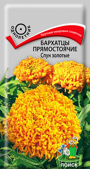 Семена Бархатцы Спун золотые (тагетес). Обильное и продолжительное цветение.&nbsp;Растения высотой около 40 см. Цветы шарообразные, крупные, махровые, золотого цвета. Цветет с июля до заморозков. Чтобы продлить цветение, необходимо удалять увядшие цветки. Используют для клумб, рабаток. Растения очень выровненные, прекрасно подходят для ковровых композиций.<br>
Агротехника.&nbsp;Растение теплолюбивое, засухоустойчивое. Предпочитает солнечное место, к почвам не требовательно. Семена высевают в апреле-мае в рассадные ящики. Глубина заделки семян 0,5-1 см. При температуре +18°C всходы появляются на 7-15 день. Через 2 недели сеянцы пикируют. В грунт рассаду высаживают после окончания весенних заморозков, выдерживая расстояние между растениями 20-30 см.&nbsp;