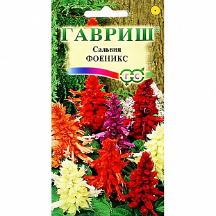 Сальвия Феникс Сальвия Феникс