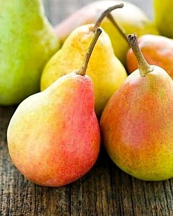 Саженцы Груша Виктория