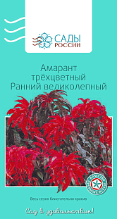Семена Амарант трёхцветный Ранний великолепный 0,1г