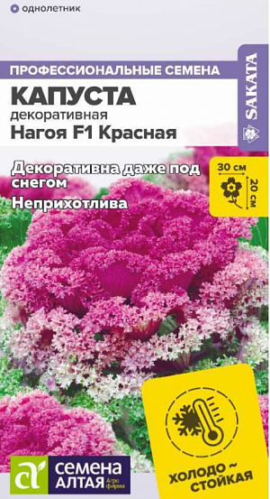 Семена Капуста декоративная Нагойя красная F1.<br>
 <br>
 Неприхотливое холодостойкое растение, достигающее особой декоративности в прохладную пасмурную погоду. Идеально подойдет для северных регионов. Формирует крупные плотные плоско-округлые розетки из листьев с интенсивно-бахромчатым краем. В начале вегетации листва имеет преимущественно зеленую окраску, в течение сезона при понижении температуры проявляется контрастный фиолетово-красный пигмент (интенсивность окраски зависит от температуры, освещенности и кислотности почвы). Хорошо сочетается с виолами и ампельным львиным зевом, может служить доминантой в ландшафтном дизайне.<br>
 <br>
   Высота растения: 18-20 см. Диаметр растения: 20-30 см.<br>
 <br>
 Способ посева: семена высевают на уплотненное ложе увлажненного грунта с интервалом 5 см, заделывая на глубину 0,3-0,5 см. Увлажняют из опрыскивателя. Емкость накрывают прозрачной крышкой или пленкой до появления первых всходов, периодически проветривают. Оптимальная температура для всходов +20…22°С. При рассадном способе выращивания в условиях недостаточной освещенности рекомендуется организовать досветку 12-14 часов в сутки.<br>
 <br>
 Уход: в начале вегетации для более активного наращивания зеленой массы используют комплексные минеральные удобрения с высоким содержанием азота, в конце лета из подкормок убирают азот, осенью подкормки прекращают. Культура требовательна к поливу, но не стоит допускать переувлажнения. Может повреждаться типичными для крестоцветных вредителями, инсектицидные обработки необходимо проводить с прилипателями.<br>
 <br>
 <iframe width="405" height="720" src="https://www.youtube.com/embed/fmFbcJXcEGg?feature=oembed" frameborder="0" allow="accelerometer; autoplay; clipboard-write; encrypted-media; gyroscope; picture-in-picture; web-share" allowfullscreen="" title="Капуста декоративная">
</iframe> <br>