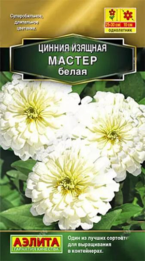 Семена Цинния Мастер белая. Крепкие приземистые кусты 25-30 см. высотой поражают суперобильным, длительным цветением; каждый цветок держится на растении более месяца. Цветки густомахровые, очень крупные – 10 см. Если не знать точно, что перед вами – сорт, то циннии группы МАСТЕР по внешнему виду легко принять за<br>
 гибрид в первом поколении. Растения устойчивы к жаре, хорошо выдерживают самые высокие температуры. <br>
 <br>
 Один из лучших сортов для горшечного выращивания на солнечных балконах и террасах. В садовых цветниках подходит для бордюров, переднего края смешанных цветников и посадок сплошными массивами. Сорт будет интересен для озеленителей – профессионалов.<br>
 <br>
 <br>
 &nbsp;Циннии – растения теплолюбивые, быстрорастущие, относительно засухоустойчивые. Предпочитают солнечные участки с дренированными почвами среднего плодородия, нейтральной кислотности. В южных регионах возможен безрассадный способ выращивания.<br>
 <br>
 <br>
 <br>
 <br>