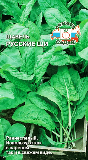 Щавель Русские Щи