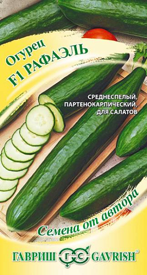 Семена Огурец Рафаэль F1